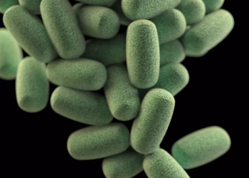 Decibel développe la présence internationale de sa marque General Admission avec une entrée sur le marché israélien